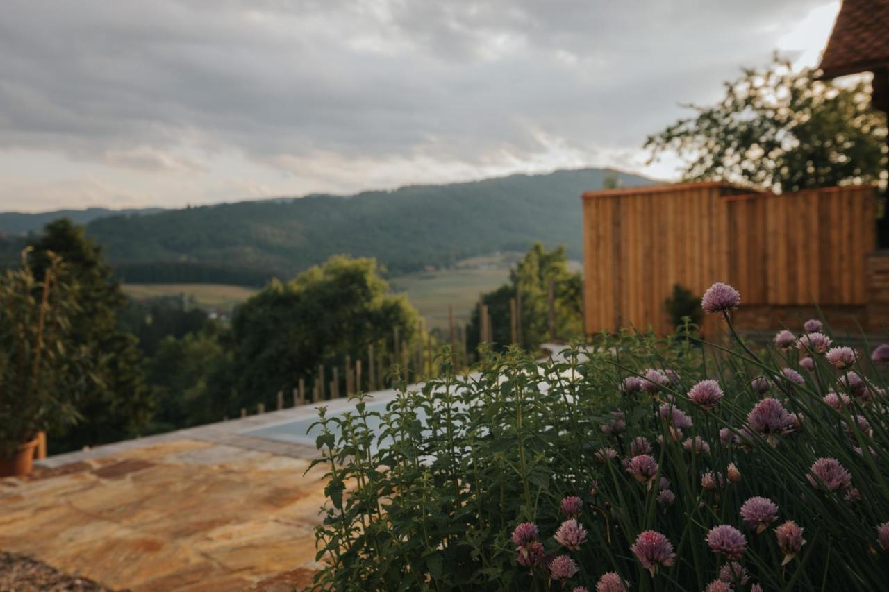 Am Wildbachberg - Luxus Ferienhaeuser Mit Infinitypool, Privatsauna Und Weinkeller Дойчландсберґ Екстер'єр фото